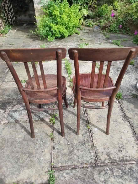 Photo of free Two old dining chairs (Buglawton CW12) #2