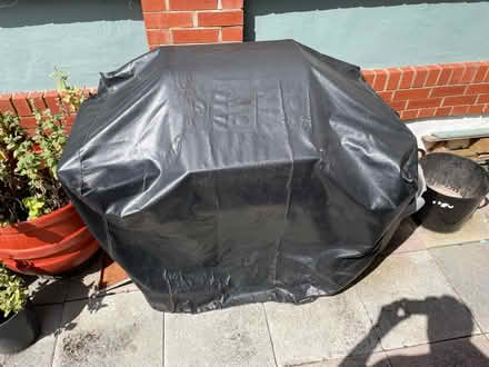 Photo of free Gas BBQ (TF1) #2