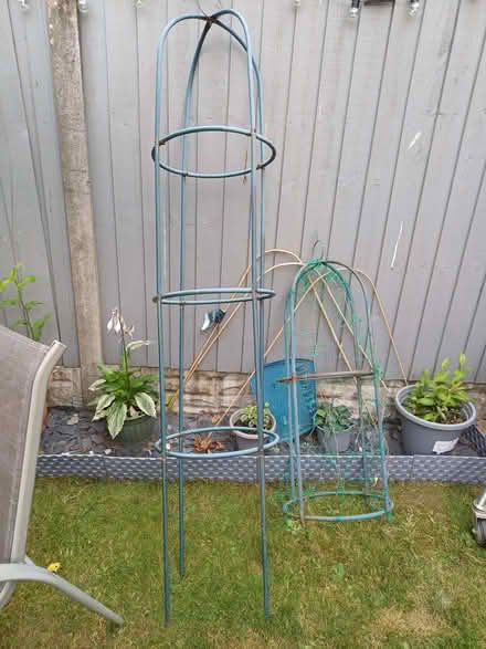 Photo of free Garden plant supports (Alcester Lanes End B13) #2