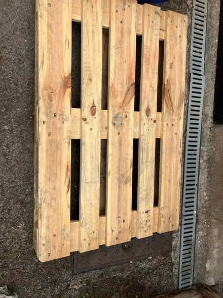 Photo of free Wooden pallet (Henleaze BS9) #1