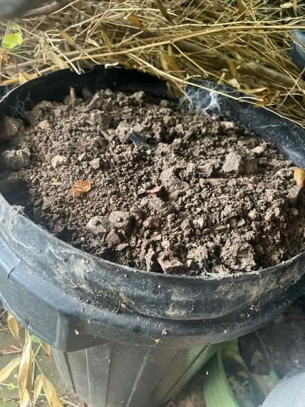 Photo of free Top soil (BN7) #1