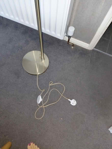 Photo of free Lamp (Dorking) #1