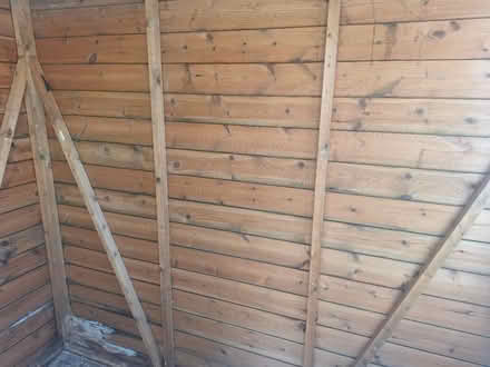 Photo of free 2 side panels of a shed (Bognor regis PO22. Es Felpham) #1