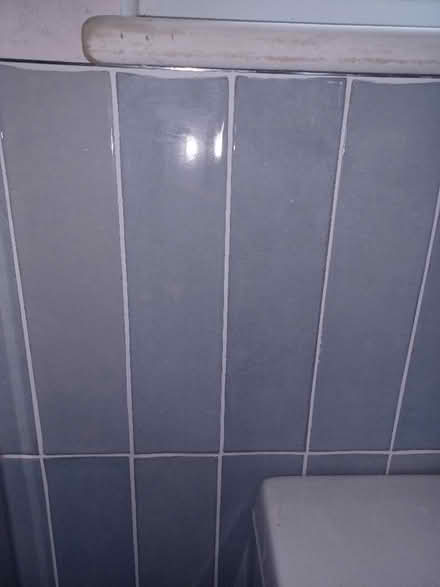 Photo of free Ceramic wall tiles (Epping CM16) #1