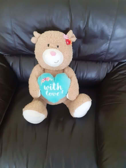 Photo of free Teddy bear (Haydock WA11) #1