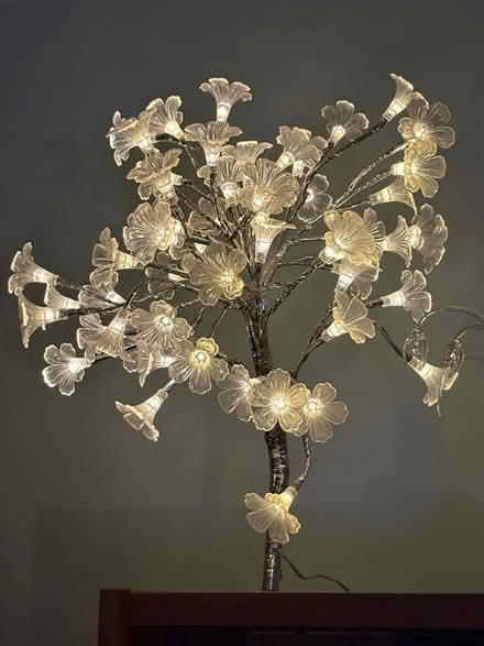 Photo of free Flower lamp (Erith DA17) #1