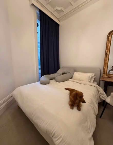 Photo of free King bed with mattress (Kensington W8) #2