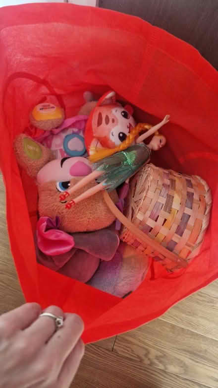 Photo of free Toy storage with a few toys (Luton Wigmore) #2