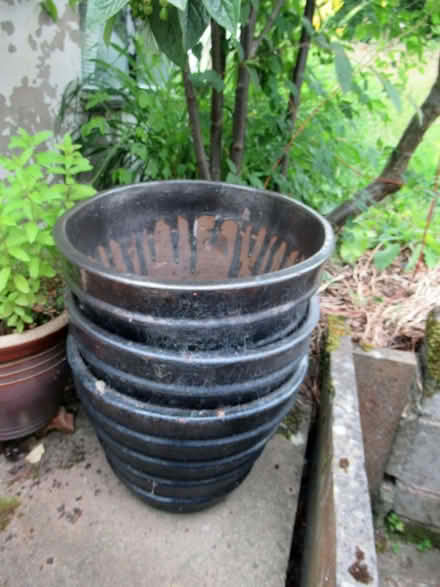 Photo of free Large Decorative Pots (Llandrindod LD1) #2