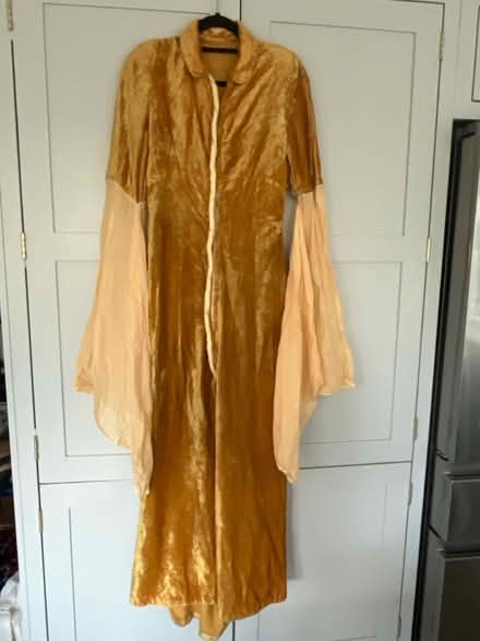 Photo of free Adult dress up home made medieval dress (Long Ditton KT7) #1