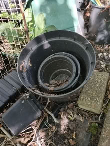 Photo of free garden pots, seed trays (Leatherhead KT22) #1