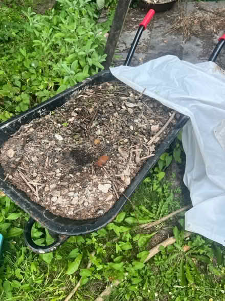 Photo of free Top soil (BN7) #3