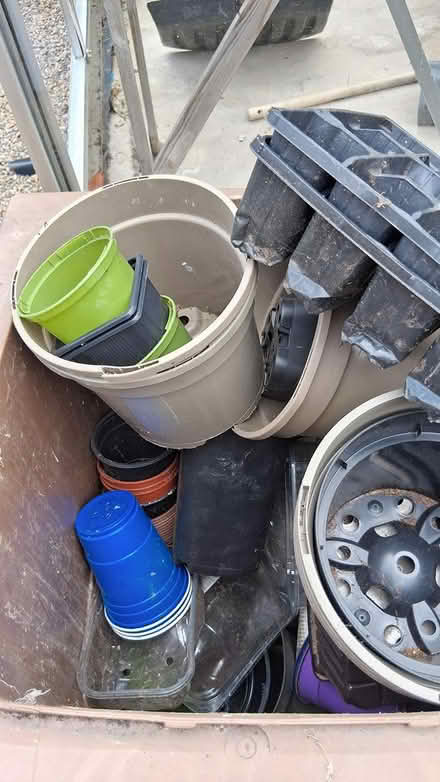 Photo of free plant pots. plastic pipes. trays (barugh green barnsley) #2