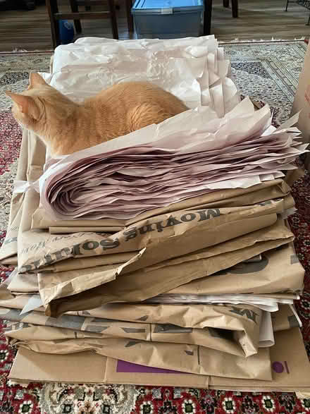 Photo of free Packing Paper - good for valuables (22307) #1