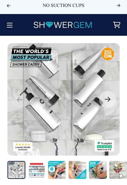 Photo of free ShowerGem Shower Storage (Harringay N4) #1