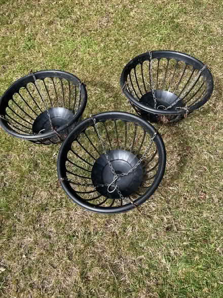 Photo of free Three Hanging Baskets (Saltwood CT21) #1