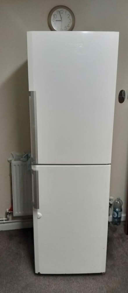 Photo of free Fridge (Balsall heath B12) #1