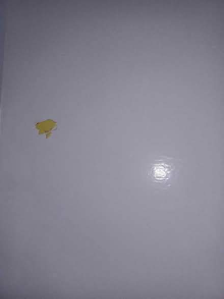 Photo of free Internal door 196cm x 68cm (Epping CM16) #3