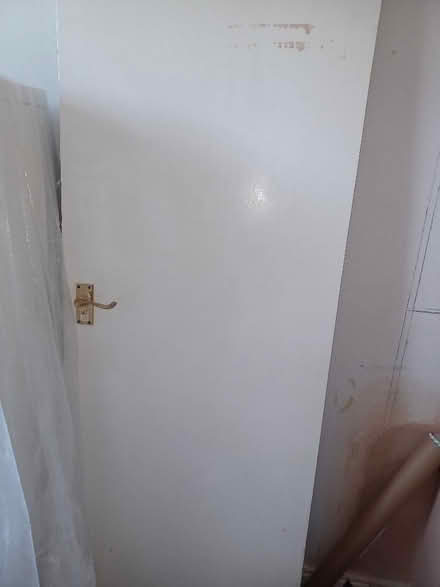 Photo of free Internal door 196cm x 68cm (Epping CM16) #1