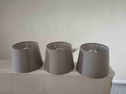 Photo of free Grey lampshades (Holywood) #1