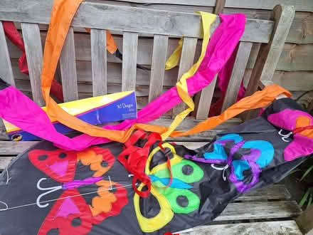 Photo of free Large kite. (Markeaton DE22) #1