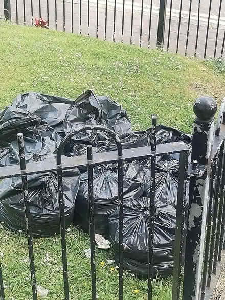 Photo of free Garden stones (Edinburgh) #3