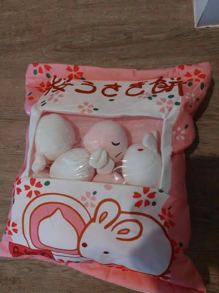 Photo of free Cushion with baby rabbits (CH48) #1