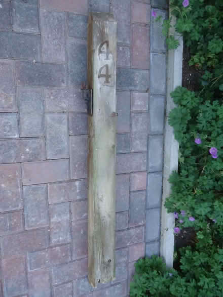 Photo of free Weathered oak post (Willingdon BN20) #1