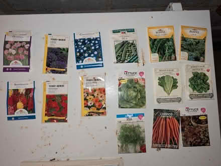 Photo of free Gardening Accessories (New Paltz) #2