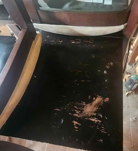 Photo of free Dining Table, 6 chairs Bar height (Southside Fort Smith) #1