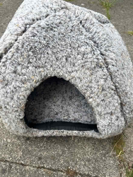 Photo of free Cat bed (Wivenhoe CO7) #1