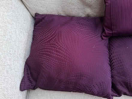 Photo of free Cushions (Danbury, Chelmsford CM3) #1