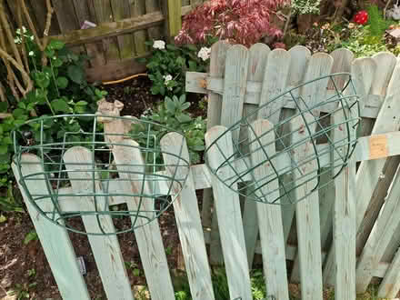Photo of free Green Wall Hanging Baskets x5 (Bedford) #2
