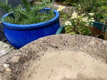 Photo of free Two round plant pots, one long one. (Bear Flat BA2) #3