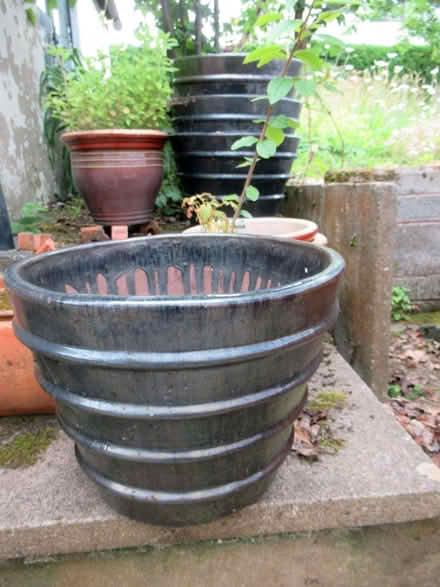 Photo of free Large Decorative Pots (Llandrindod LD1) #1