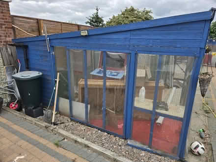 Photo of free Large Purpose-Built Cattery (Mansfield ng19) #3