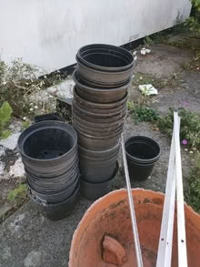 Photo of free garden pots, seed trays (Leatherhead KT22) #2