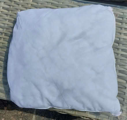 Photo of free Cushion inserts (Manningtree CO11) #1