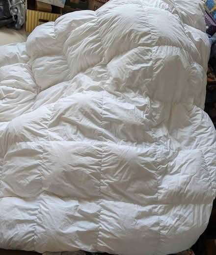 Photo of free double duvet (BD16) #1