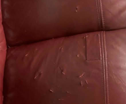 Photo of free Leather 2 Seater Sofa (Belsize Park NW3) #2