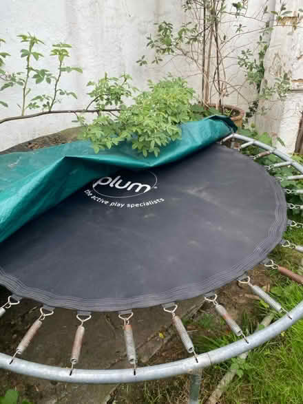 Photo of free 6ft trampoline (ME139 bh) #2