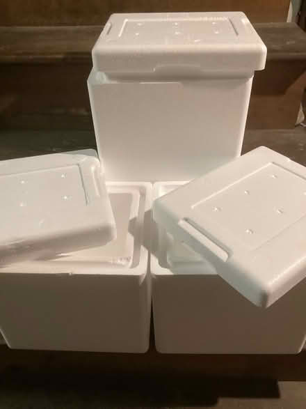Photo of free Mini Styrofoam Coolers (Maumee, OH) #1