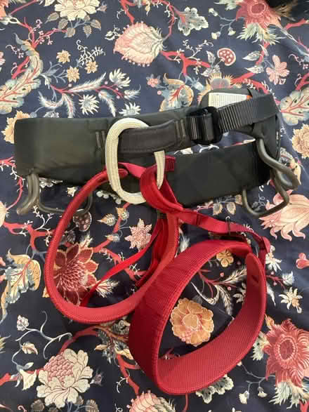 Photo of free Black Diamond Momentum Harness (Forest Park) #1