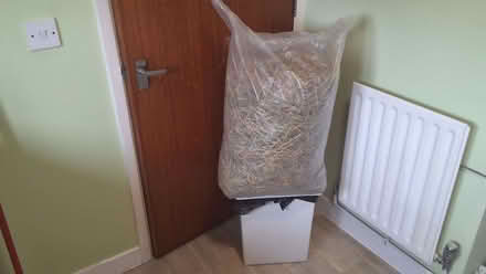 Photo of free Bag of Fresh waste hay (Adamsdown CF24) #1