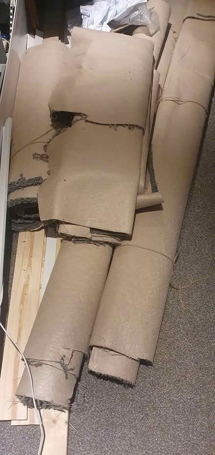 Photo of free Grey Carpet (derby) #2