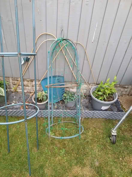 Photo of free Garden plant supports (Alcester Lanes End B13) #1