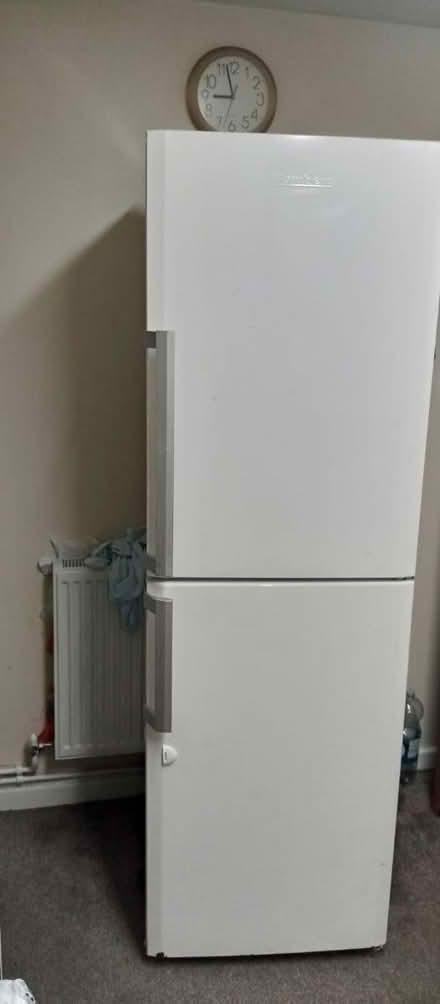 Photo of free Fridge (Balsall heath B12) #4
