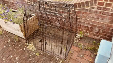 Photo of free dog cage for large hatchback/estate (Bishops Waltham) #1