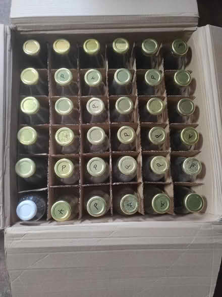 Photo of free Glass bottles (Buglawton CW12) #1