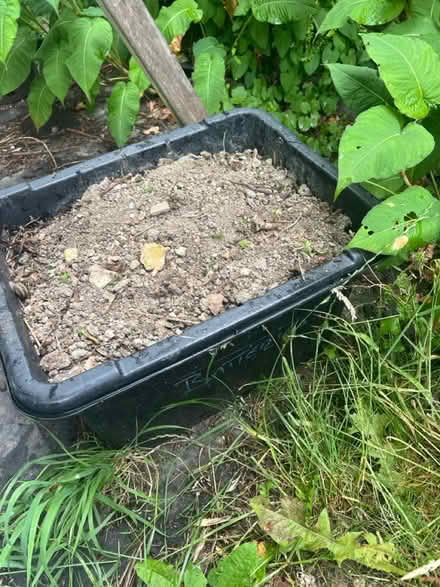 Photo of free Top soil (BN7) #2